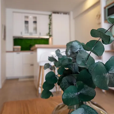 Apartment Centro Con Parking Gratis ツ By Rias Baixas